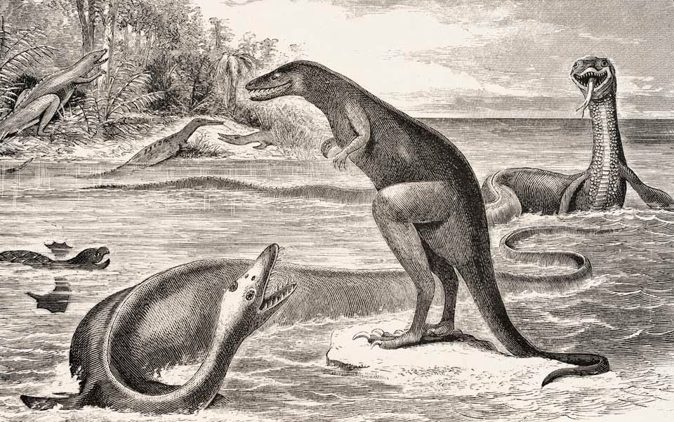 dward Cope 1896 Fossils of New Jersey